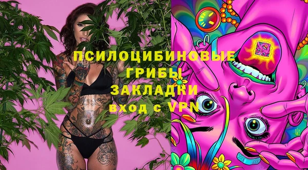 скорость Баксан